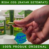 Gambar Obat Herbal Sakit Maag Akut dan Kronis Gerd Dispepsia - 50 Kapsul dari Alfian Herbal undefined 4 Tokopedia