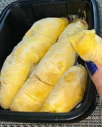 Gambar Durian Musang King Sultan Malaysia Frozen 400 Gram Fresh Import dari CoffeeCago undefined 3 Tokopedia