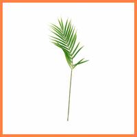 Gambar Tanaman Artifisial 15x60 Cm Daun Lontar Gs73 dari Tokolangganan13 undefined 1 Tokopedia