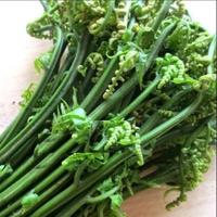 Gambar pakis sayur segar atau pakis paku di jual per 250 gram dari Larisstore03 undefined 4 Tokopedia