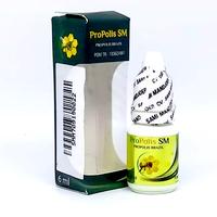 Gambar Obat Pengering Luka Diabetes Melitus Basah / Kering Dengan Propolis SM dari FOLK HERBAL OFFICIAL undefined 4 Tokopedia