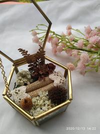 Gambar ring box terarrium/ tempat cincin/ tempat mahar/ tempat perhiasan HEXA - L dari The Wedding Rustic undefined 1 Tokopedia
