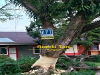 Gambar Herbisida racun gulma kayu starlon 100ml basmi kayu kayuan pohon dari Rezeki Tani undefined 4 Tokopedia