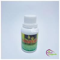 Gambar Vitamin B1 + Hormon Adaptan7 100 ml Adaptan Anggrek dari Rumah Anggrek Mlg undefined 3 Tokopedia