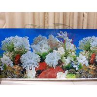 Gambar WALLPAPER/BACKGROUND AQUARIUM GAMBAR RANDOM UK 40CM (PER 1 METER) dari JN AQUARIUM undefined 1 Tokopedia