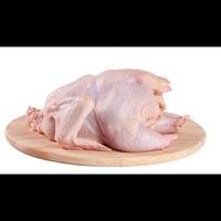 Gambar Ayam karkas 0,7 pilihan terbaik dari SahabatDaging undefined 1 Tokopedia