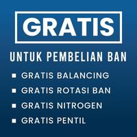 Gambar Toyo Tires Proxes R52A 215 50 R18 92V TLY MGSS NB1Z Ban Mobil dari OTTOBAN INDONESIA undefined 2 Tokopedia