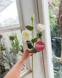 Gambar Bunga Artificial Lisianthus Kain dari Clara Florist Surabaya undefined 4 Tokopedia