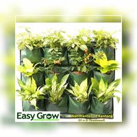 Gambar WALL PLANTER HORIZONTAL 12 KANTUNG EASY GROW HIJAU / WALLPLANTER dari WinNaba undefined 1 Tokopedia