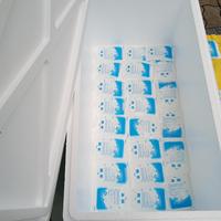 Gambar ICE GEL PAK BEKU SIAP PAKAI KEMASAN 100 ml dari bahtera nusantara styrofoam undefined 3 Tokopedia