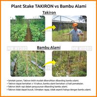 Gambar 10 pcs Plant Stake / Ajir Tanaman - TAKIRON - 11 mm x 180 cm dari MW Hydro Tangerang undefined 4 Tokopedia
