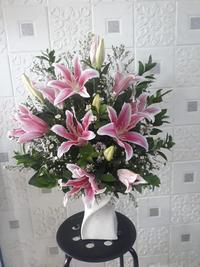 Gambar BUNGA MEJA LILY | RANGKAIAN BUNGA LILY | BUNGA LILY CASABLANCA dari Florist Trully undefined 1 Tokopedia