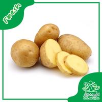 Gambar Kentang - Sayur Kendal Fresh & Organic - 500gr dari Sayur Kendal Menteng undefined 1 Tokopedia