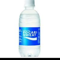 Gambar POCARI SWEAT BOTOL 350 ml dari terusanarbi undefined 1 Tokopedia