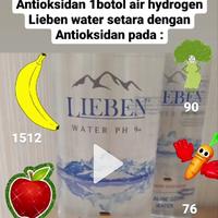 Gambar Air Hydrogen PH tinggi menaikan imun tubuh dari CHORIO INDONESIA undefined 4 Tokopedia