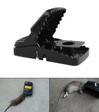 Gambar Mouse Trap Perangkap Jebakan Dan Pembasmi Tikus Rat - BUKAN JONI CAT dari BEST SHOP GROSIR ID undefined 1 Tokopedia