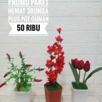 Gambar Paketan Bunga 3 Set Plus pot komplit. Bunga sakura Cabe hias dari NatureShop Abelia undefined 1 Tokopedia