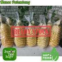 Gambar NANAS PALEMBANG/NANAS SELAI PER BUAH dari Sumber Tani Bogor undefined 1 Tokopedia