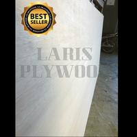 Gambar Triplek Meranti 18mm (Full) / Multiplek Meranti Full 18mm dari Laris Plywood undefined 2 Tokopedia