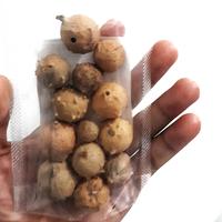 Gambar buah manjakani kering asli dari Sarifood Official undefined 1 Tokopedia