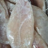 Gambar ikan dori fillet dari Dapur Kita Freshmarket undefined 1 Tokopedia