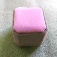 Gambar KOTAK CINCIN / RING BOX / TEMPAT CINCIN KOTAK BELUDRU SINGLE ABU-PINK dari Seira Beauty Store undefined 3 Tokopedia