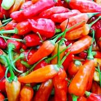 Gambar cabe rawit merah kualitas super - 500 gram dari kios sayur segar adrian undefined 1 Tokopedia