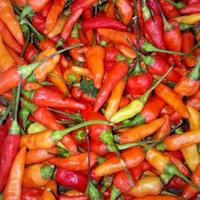 Gambar cabe rawit merah kualitas super - 500 gram dari kios sayur segar adrian undefined 2 Tokopedia