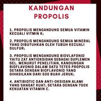 Gambar Madu Propolis Asli - Madu Kota Batu - 850 g - Herbal Alami dari Madu Murni dan Organik undefined 4 Tokopedia
