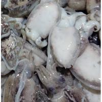 Gambar balakutak cumi 1kg dari D.A fresh Vegetables undefined 1 Tokopedia