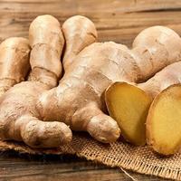 Gambar Jahe Putih / Bumbu Dapur/ Rempah dari Juragan Sayur Banjar undefined 1 Tokopedia