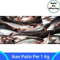 Gambar Ikan Patin Per 1 Kg dari MUGHNI RIAU MART undefined 1 Tokopedia