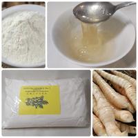 Gambar Tepung Pati Garut / Ararut /Arrowroot / Irut 1 kg dari KOELINERIA undefined 1 Tokopedia
