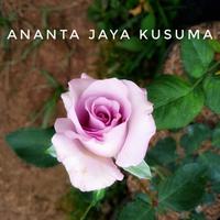 Gambar bibit tanaman bunga mawar |1 paket isi 10 | dari Ananta Jaya Kusuma undefined 3 Tokopedia
