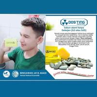 Gambar Sabun Dosting BPOM Original / Asli, Pemutih Wajah dan Tubuh dari annabiestore undefined 4 Tokopedia