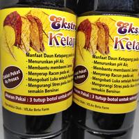 Gambar Daun Ketapang Ekstrak Murni 500 Ml Vitamin Obat Ikan Hias dari One Aquatic undefined 2 Tokopedia