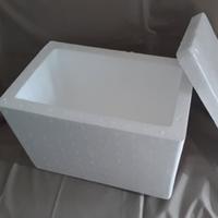Gambar Ice Gel & Box Styrofoam dari Snplants Indonesia Laboratory undefined 4 Tokopedia