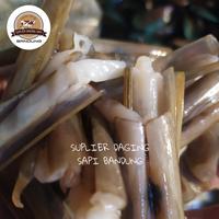 Gambar KERANG BAMBU SEGAR 1.0kg dari Suplier Daging Sapi Bandung undefined 1 Tokopedia