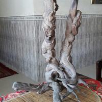 Gambar KAYU FOSIL STIGI WULUNG UKIR SEPASANG NAGA dari RESTU DUA art undefined 2 Tokopedia
