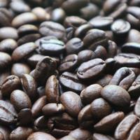 Gambar Roast bean flores bajawa g 3 1 kg dari Roastery juragan kopi undefined 2 Tokopedia