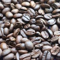 Gambar Roast bean flores bajawa g 3 1 kg dari Roastery juragan kopi undefined 1 Tokopedia
