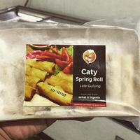 Gambar Spring Roll Lele dari aditawibowo undefined 1 Tokopedia