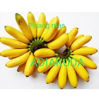 Gambar pisang mas per 1 sisir dari ADIAKUDA undefined 1 Tokopedia