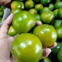 Gambar Buah Jeruk Segar / Berat 500 gram dari Juragan Sayur Banjar undefined 1 Tokopedia