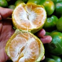 Gambar Buah Jeruk Segar / Berat 500 gram dari Juragan Sayur Banjar undefined 2 Tokopedia