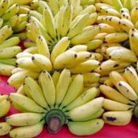 Gambar Pisang Mas persisir dari Sayur Segar Palembang undefined 2 Tokopedia