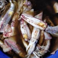 Gambar Cumi-cumi Kapal Fresh - 1 kilogram dari BANDAR IKAN PAK SALAM undefined 1 Tokopedia