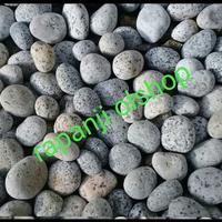 Gambar Batu Koral Telur Puyuh Batu Koral Hiasan Aquarium Taman dari Rapanji olshop undefined 1 Tokopedia
