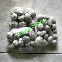 Gambar Batu Koral Telur Puyuh Batu Koral Hiasan Aquarium Taman dari Rapanji olshop undefined 2 Tokopedia