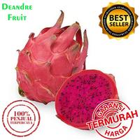 Gambar GROSIR MURAH 1/2kg Buah Naga Merah Grade Premium Quality Manis dari Deandre Fruit Market1 undefined 1 Tokopedia